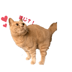 FUKU.RU_20260504183504
