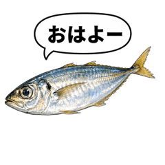 鯵魚美食好友實用