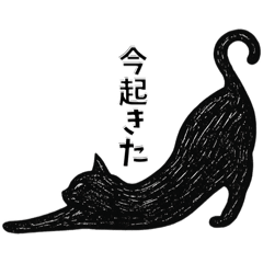 Nekofujita_20260504202259