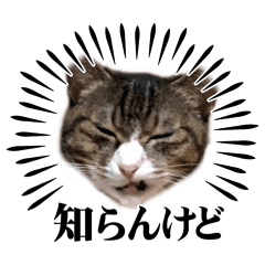 Matsui_20260504202515