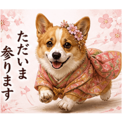 sunny_20260504194355