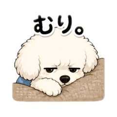 NOMI_20260504211138