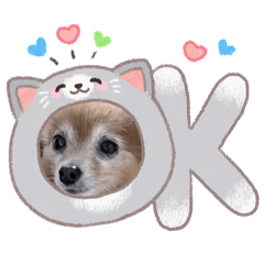 mugimaru_20260504212318