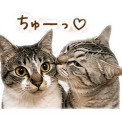 hina.k_20260504210404