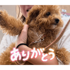 himari_20260504210535
