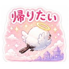 ren_20260504210848