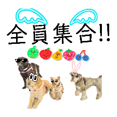 kaento_20260504214543