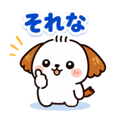 BENI_20260504225733