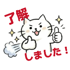 Soft cat_20260504225710