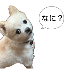 Yui_20260505125211