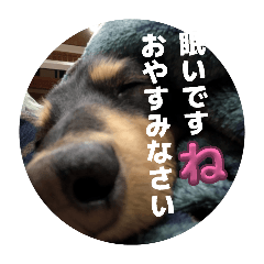 kulala_20260505124639