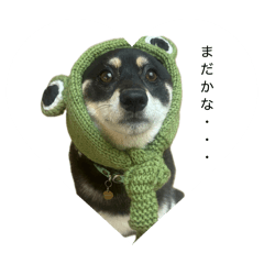 KoCHAN_20260505125533