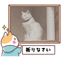 ten_ten2
