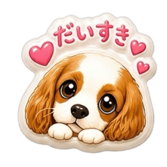 nontan_20260504232457