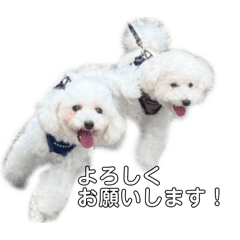 chim._20260505125907