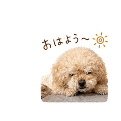 moco_20260505130118