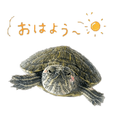 OHSHIMA_20260505131001