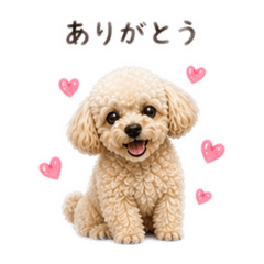 Mumu_20260505130839