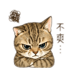 有個性的乖乖