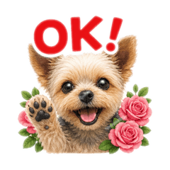 Yorkie and Rose