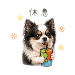 劉天天 3.1