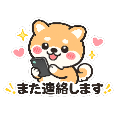Yamasho_20260505004442