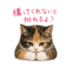Baba.ka_20260505012040