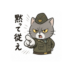 Drill Sergeant Cat Stamp