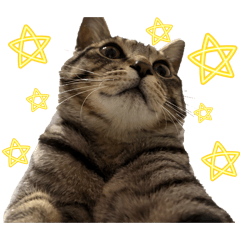maru_20260505013547