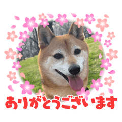 R_20260505020512