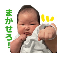 miki_20260505133408