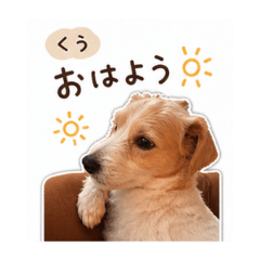 asami_20260505133702