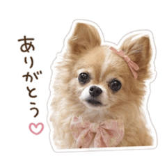 foochan_20260505134302