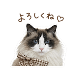 foochan_20260505134741