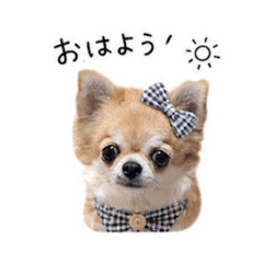 foochan_20260505134513