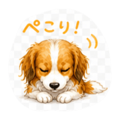 ATSUKO_20260505140345
