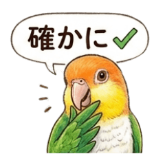 cha2mal_20260505141036