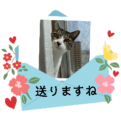 1000yori_20260505092532