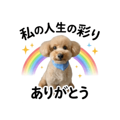 Chao_20260505102418