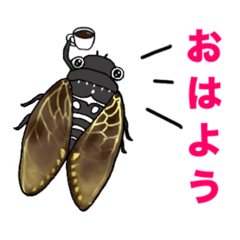 miko_20260505101537