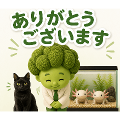 midori-seitaiin_20260505092016