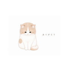 atelier Ecru_20260505114724