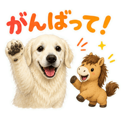 Cream Golden Retriever Daily