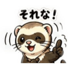 ferret Uta_20260505110420