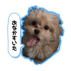 yuaha_20260505102603