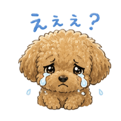 Surumeika_20260505125900