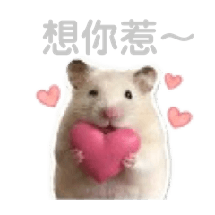 薯泥日常用語