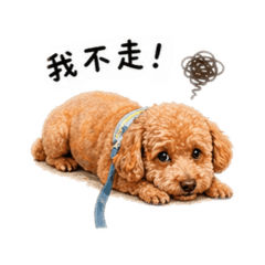 我家陳土豆
