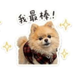 多奇的日常