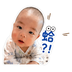 今天也被小壯壯療癒(⁎⁍̴̆.⁍̴̆⁎)